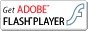 Download Flash playera
